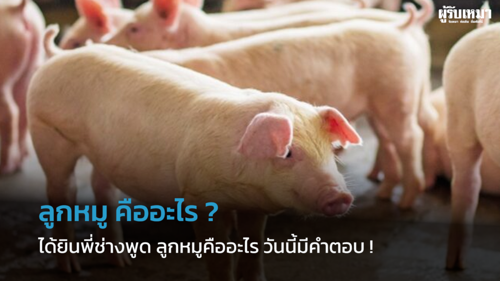 ลูกหมู-คืออะไร-ในศัพท์ช่าง