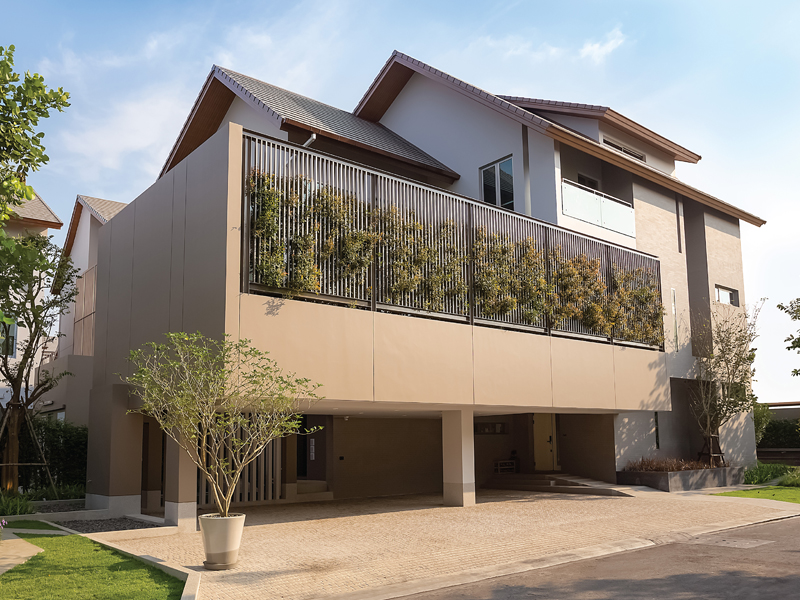 ต้นคริสตีน่าทำรั้วบ้าน