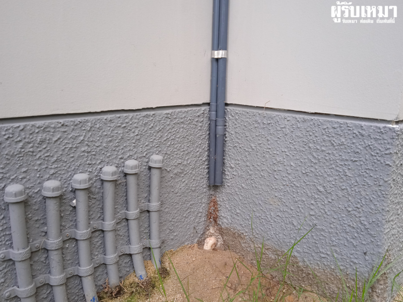 ผนังบ้านสีลอก-ความชื้นจากท่อน้ำทิ้งแอร์.png