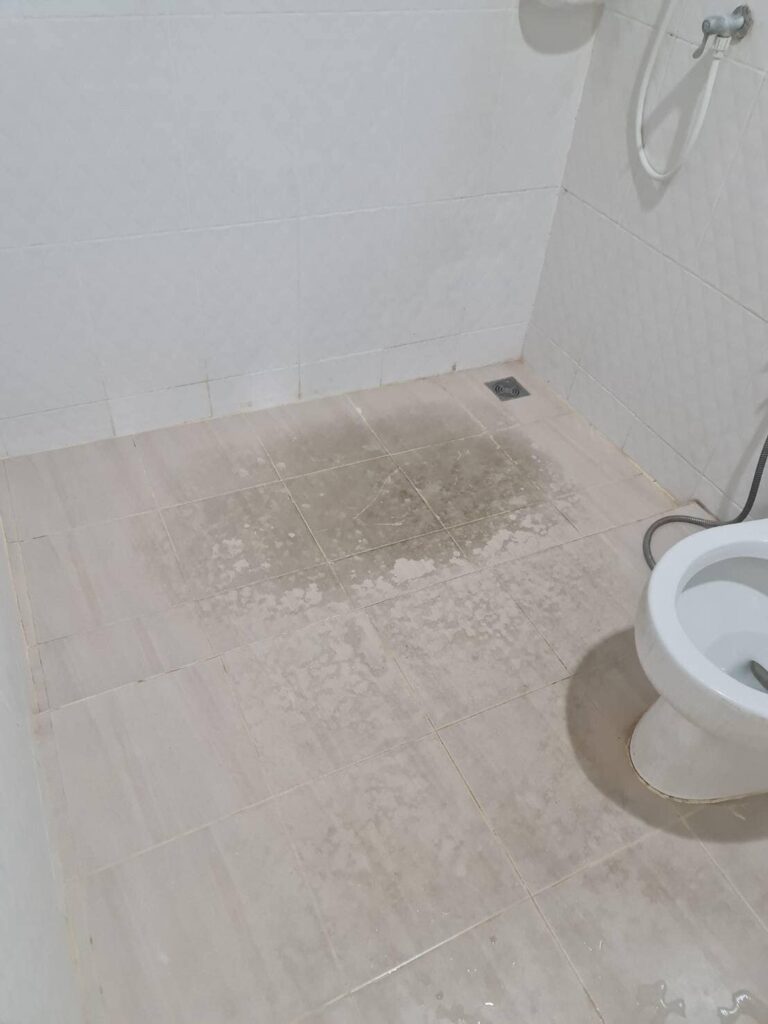 ทําความสะอาดคราบเชื้อรา