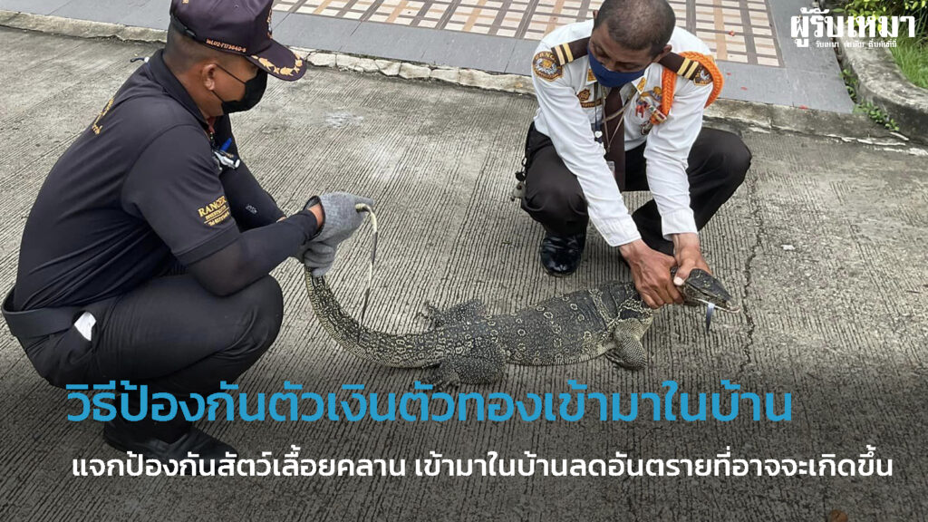 วิธีป้องกัน-ตัวเงินตัวทอง-เข้ามาในบ้าน