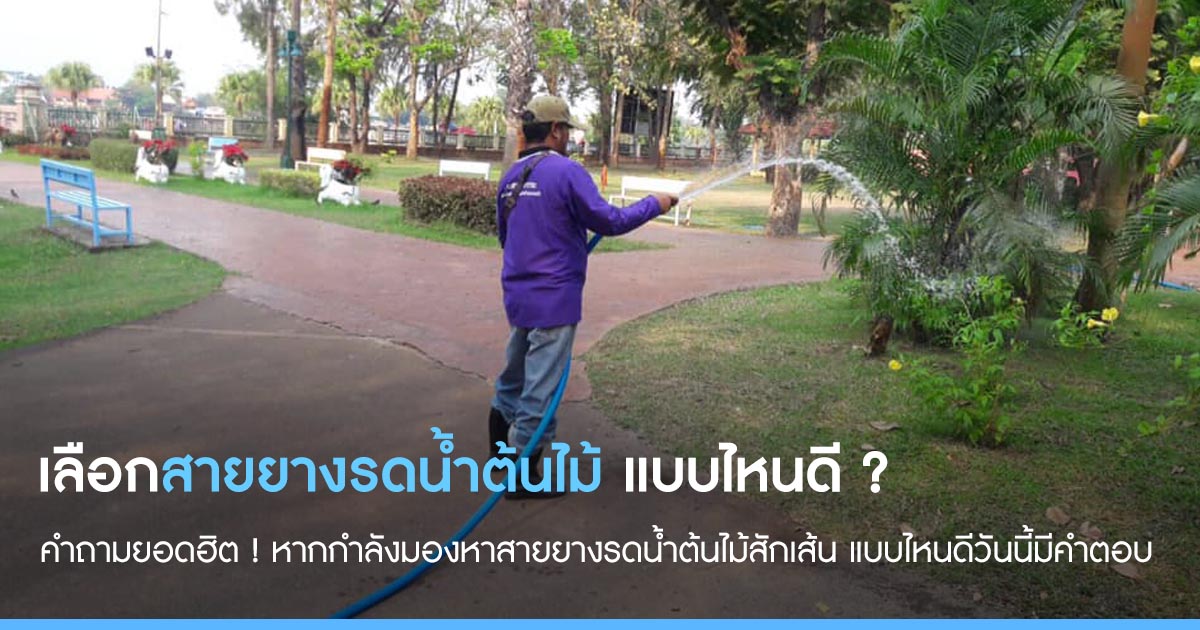 เลือกซื้อ สายยาง รดน้ำต้นไม้ แบบไหนดี ?